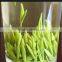 100% Natural, famous and popular Yellow Tea,Huoshan huangya Yellow Tea