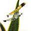 Shrimp bait lure 11cm Soft Silicone Simulation Lifelike Prawn Soft Fishing Lure