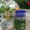 100% natural wormwood leaf oil bulk