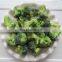 2 - 4cm 3 - 5cm 4 - 6 cm IQF Frozen Broccoli Cut