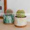 Factory Cheap Ceramic Pots Succulent Unique Small Circle Marble Vein European Indoor Flower Pot