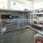 Greenery / Vegetables / iceberg lettuce Automatic Horizontal Packaging Machine