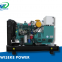 wiseke power 100kVA Ricardo R6105ZD cheap price low noise generator