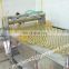 Custom made fruits canned process line with high quality