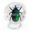 6.0 cm real resin acrylic marble ball with bugs scorpion