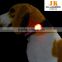 high quality led lighting pet factory waterproof luxury pet tags