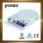 heavy duty weighing scale