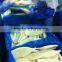 Frozen whole cleaned squid tube, japanese squid tube IQF