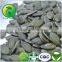 Pumpkin Seeds GWS (Grown Without Shell) Oil Prostatic