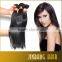 2016 Wholesale human hair high quality straight wave virgin hair brazilian human hair extension