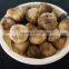 Polish Wild Dried Buttom Mushroom