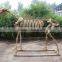 Dinosaur Fossil for Sale High Quality Fossil