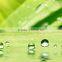 Hydrophobic nano coatings