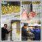 Bean Sprouts Machine mung bean soya bean
