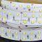DC12v/24V smd 2835 led strip light 120leds waterproof with CE ROHS