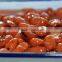 canned foul medames in brine 397g 400g