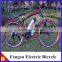 Lithium Electric Bicycle 200W-250W