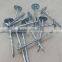 Umbrella Head Roofing Nails
