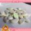 GWS snow white pumpkin seeds shine skin pumpkin seeds Pumpkin Seeds with Shell Nutrition