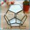 Hot sale indoor plant glass terrarium clear glass geometrical hanging terrarium-indoor plant pot holders glass terrarium