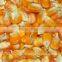 High quality yellow maize