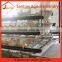 Good price layer poultry cage for farms in zambia