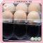 30 Holes wholesale transparent plastic egg tay