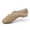 Ballet Shoes With Heels Adult Dance Shoes Women Girls Soft Leather Latin Dance Shoes Practice Teacher Teaching