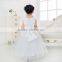 Hot Sale Baby Girls Party Dress Design Flower Girl Princess Dress 2016 Dress Designs Teenage Girls Manufacture in China