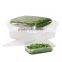 Japan frozen seasoned seaweed salad