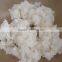 Cotton Linter