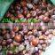 Fresh Sweet Chestnutfrom China