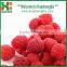 Chinese Fresh Frozen Raspberry