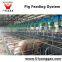 Pig Farm Equipment Sow Pig gestation crates Pig Equipment