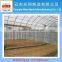 multi span agricultural greenhouse