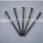 electro galvanized common wire nail/common iron wire nails