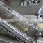 Frozen vegetables production line