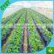CHINA factory supply 100% new material mulch film /mulch film with holes for ground to cover vegetables