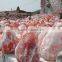 EXPORT QUALITY NATURAL SALT LUMPS