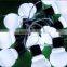 Holiday garden/home/street new year Christmas decoration led ball string light