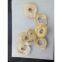 Choice Quality Dehydrated Apple Rings