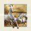 High quality new lenticular picture 5D wood picture frame