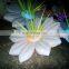 Incredible LED Light Inflatable Wedding Decoration Flower