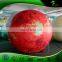 Inflatable 2 M Mars Planet with LED Light, Advertising Inflatable Tire Balloon, Floating Advertising Balloon for Sale