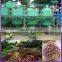 high quality Edible oil refining equipment/palm oil refining machine
