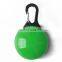 2020 amazon hot sale  factory supply New Pet Products pet light