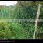 high quality knotted anti animal net trellis net anti wild animal fence screening net