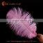 Cheap dyed 30-35cm ostrich feathers for sale