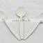 PLA tea spoon
