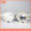 porcelain ceramic pig coin box bank accept custom design savings bank money container coated colorful pearl glazed for souvenir